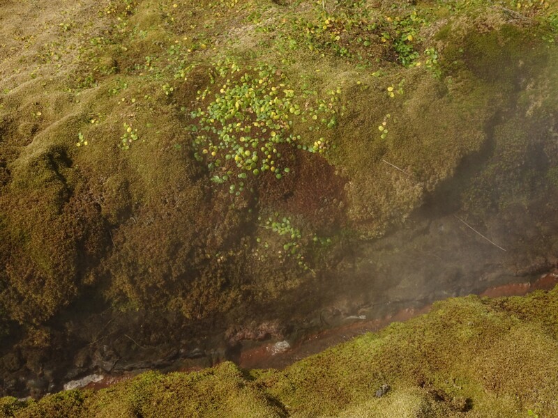 Fluthir 23-Jul-19   15 28 10