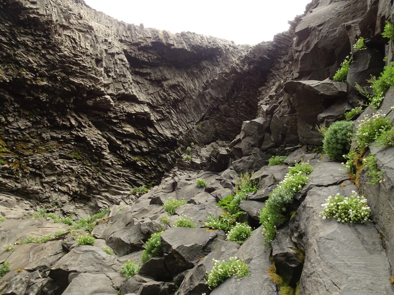 Halsanefshellir 25-Jul-19   15 59 56