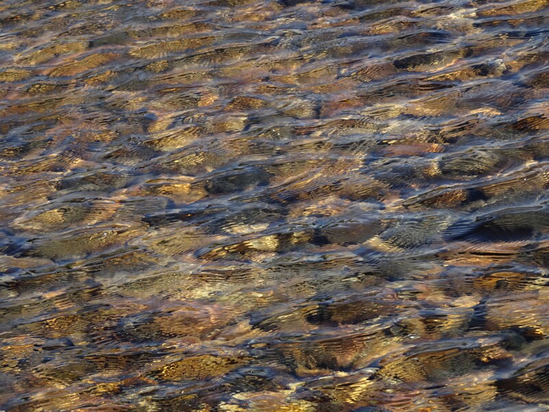 Iceland National Museum 24-Jul-19   13 17 30