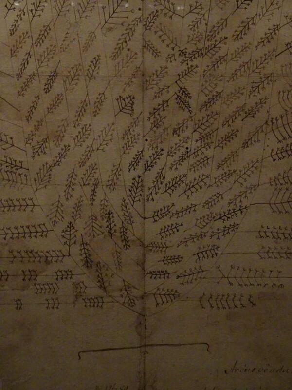 Iceland National Museum 24-Jul-19   15 53 38