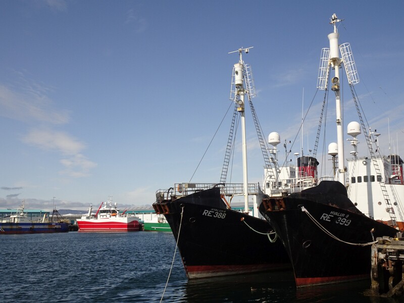 Old Harbour 26-Jul-19   17 23 38