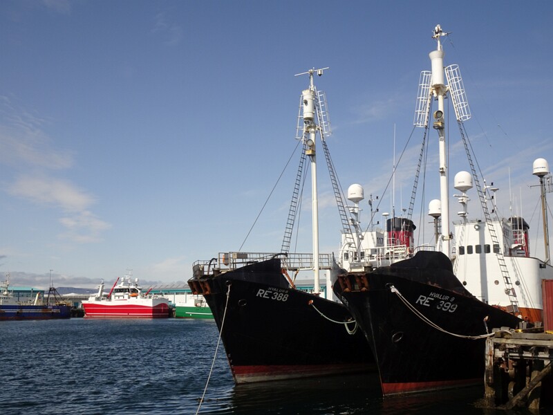 Old Harbour 26-Jul-19   17 23 48