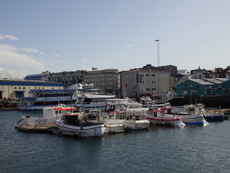 Old Harbour 26-Jul-19   17 25 14