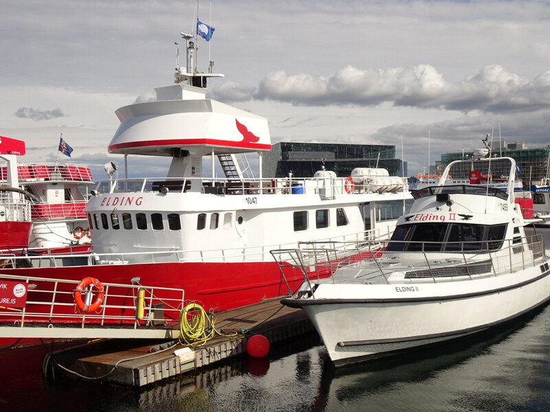 Old Harbour 26-Jul-19   17 25 18