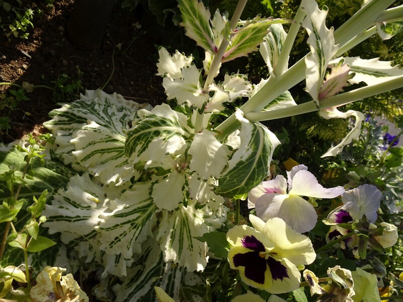 Old Harbour 26-Jul-19   17 31 46