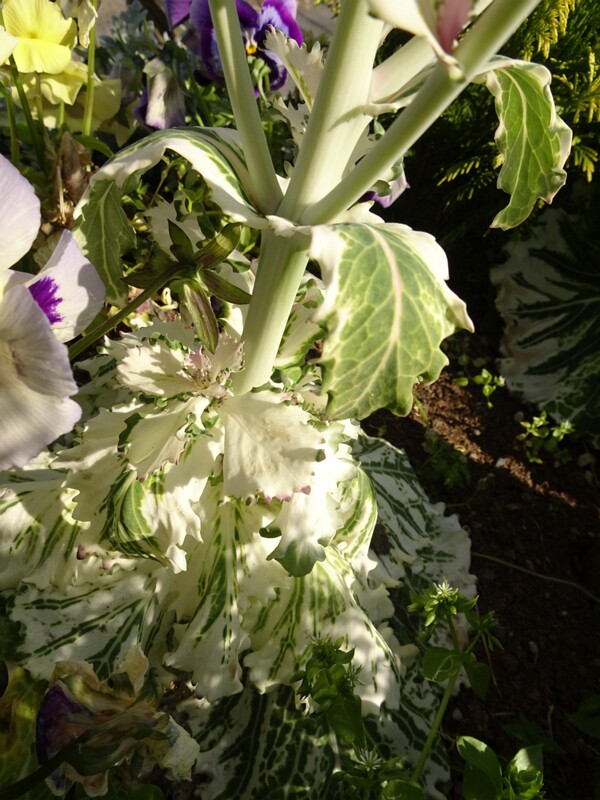 Old Harbour 26-Jul-19   17 31 56