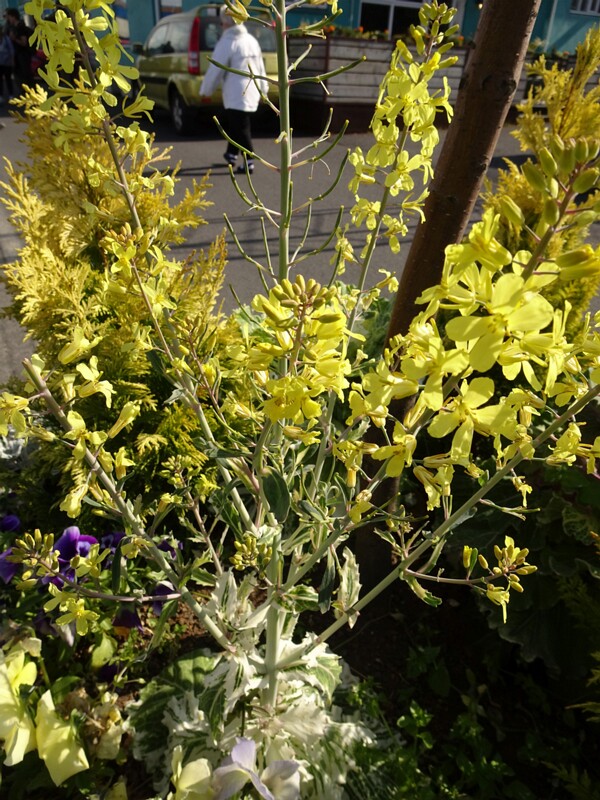 Old Harbour 26-Jul-19   17 32 02