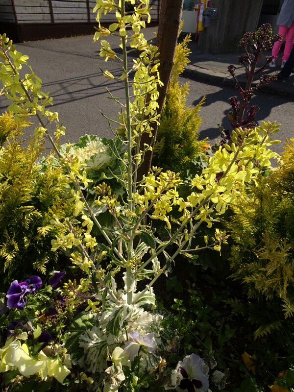 Old Harbour 26-Jul-19   17 32 06