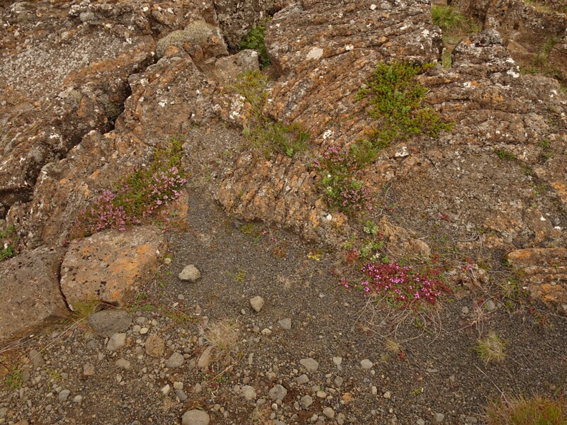 Thingvellir 23-Jul-19   10 30 02