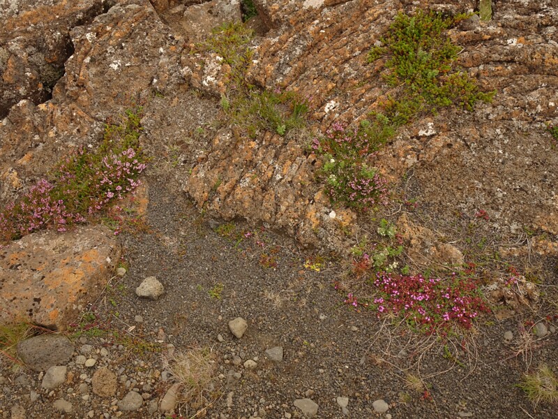 Thingvellir 23-Jul-19   10 30 08