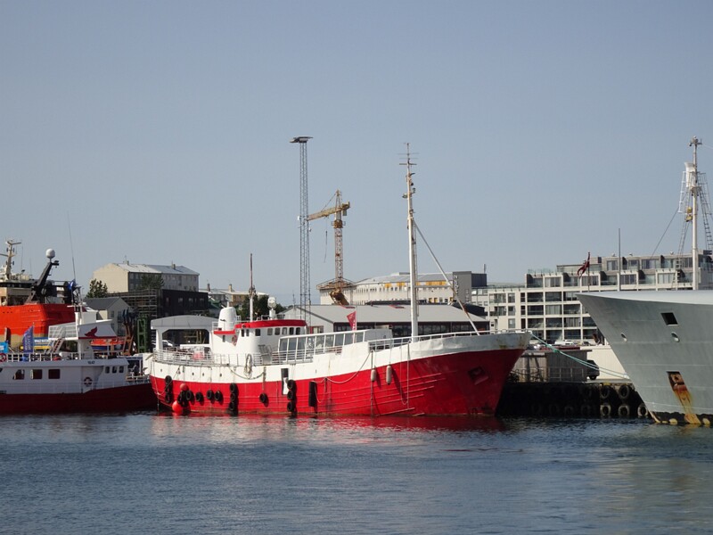 Whalewatching with Elding 26-Jul-19   14 10 30