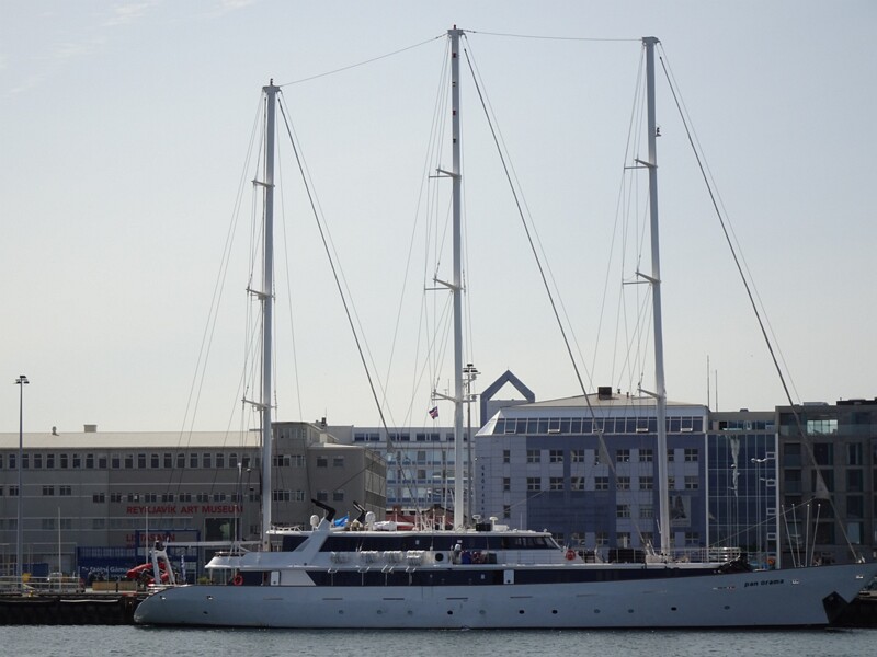 Whalewatching with Elding 26-Jul-19   14 10 38