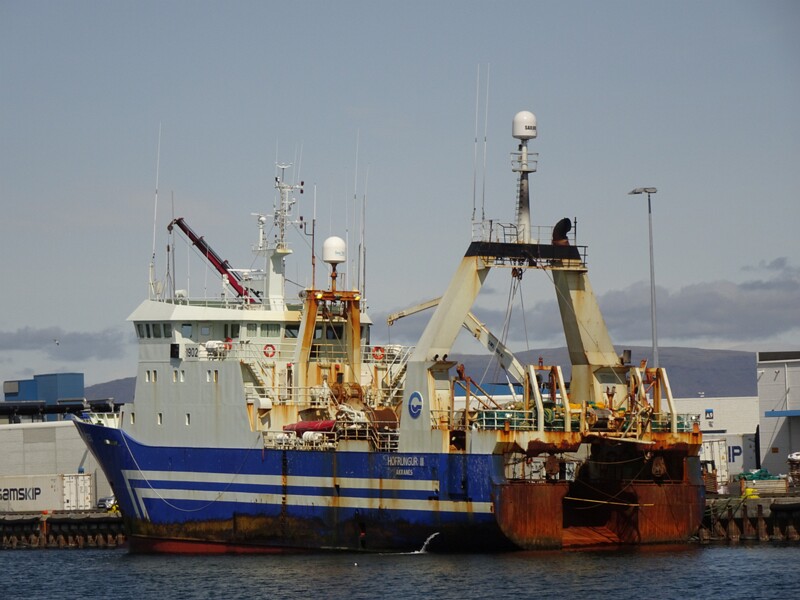Whalewatching with Elding 26-Jul-19   14 11 10