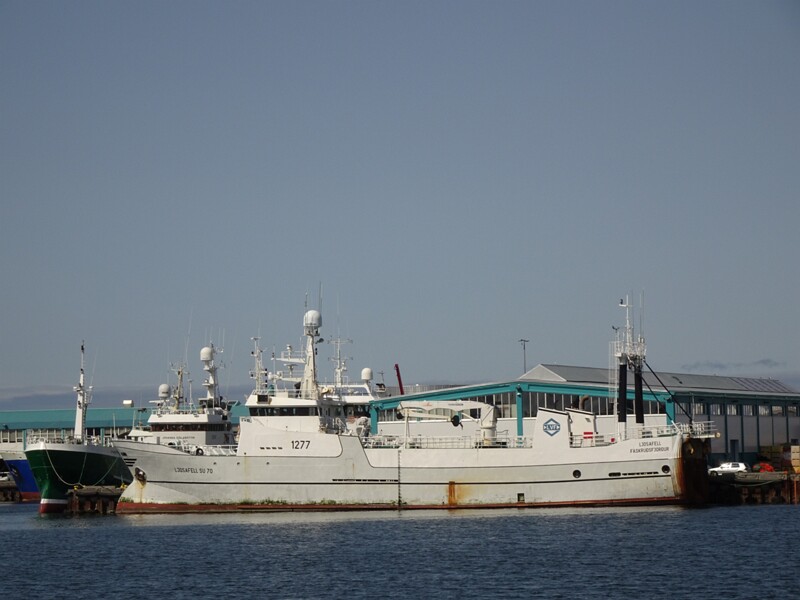 Whalewatching with Elding 26-Jul-19   14 11 24