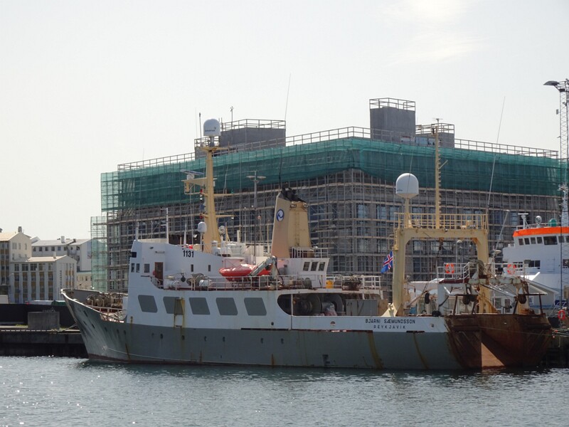 Whalewatching with Elding 26-Jul-19   14 11 38