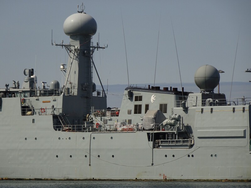 Whalewatching with Elding 26-Jul-19   14 12 00