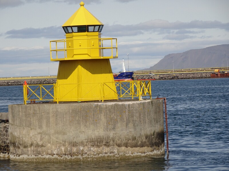 Whalewatching with Elding 26-Jul-19   14 12 30