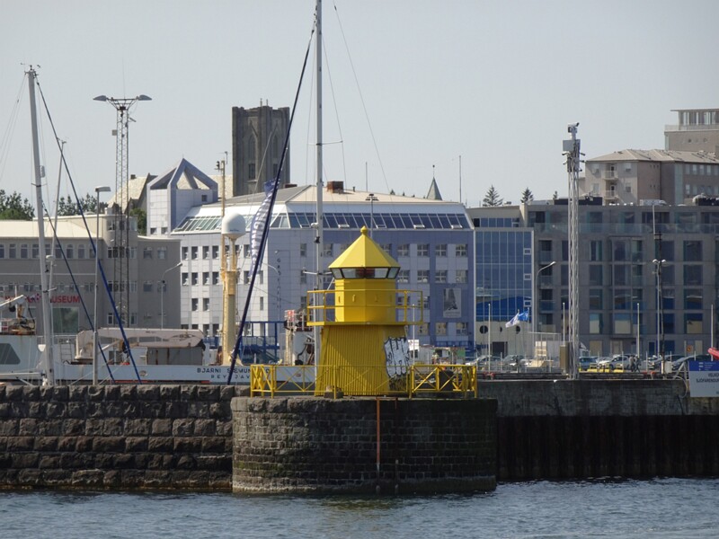 Whalewatching with Elding 26-Jul-19   14 13 06