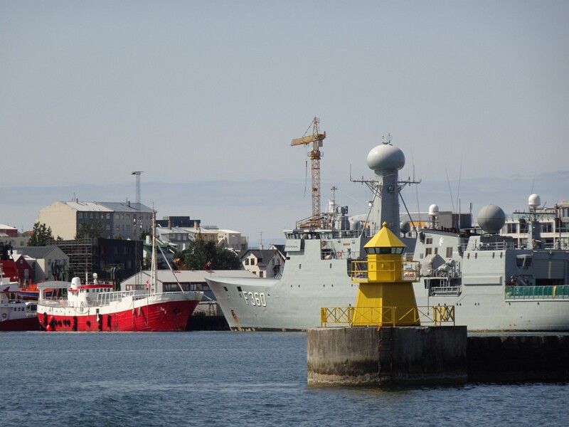 Whalewatching with Elding 26-Jul-19   14 13 20