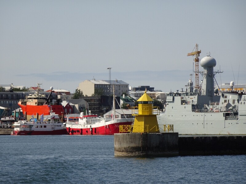 Whalewatching with Elding 26-Jul-19   14 13 24